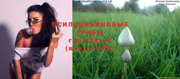 прущая мука Алзамай