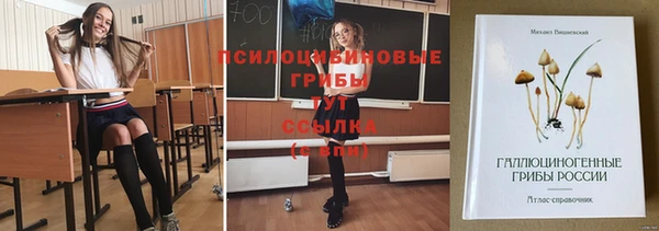 дмт Алексин