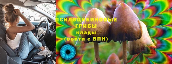 дмт Алексин