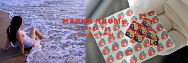 дмт Алексин